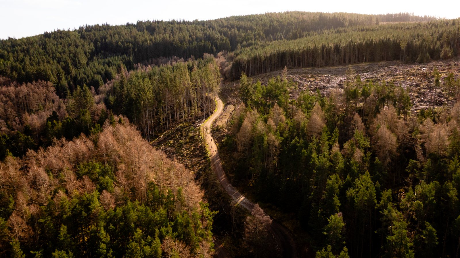 Blackhall Forest and Royal Deeside from the air